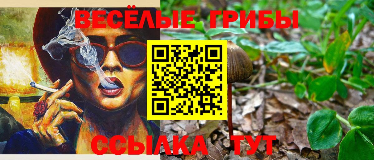 купить   Галлюциногенные грибы прущие грибы  Вход с VPN  Заринск 